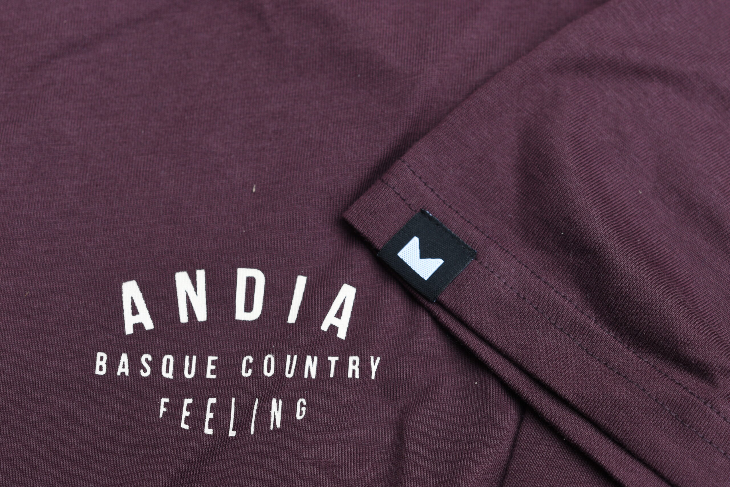 logo_andia_con_detalle_camiseta