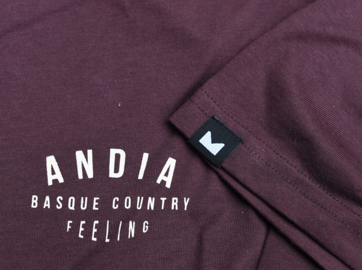 logo_andia_con_detalle_camiseta